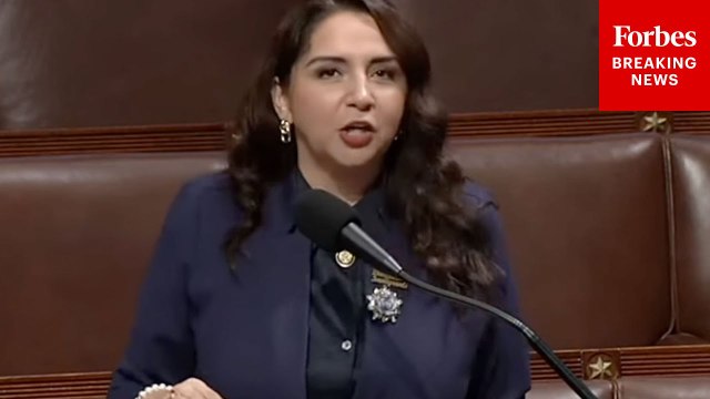 Delia Ramirez Calls Out Lack Of Transparency In Letting Members Of Congress Visit Detention Centers