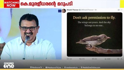 പക്ഷിയോടുപമിച്ച് ശശി തരൂർ നടത്തിയ ട്വീറ്റിന് കെ.മുരളീധരന്റെ മറുപടി