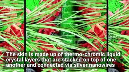 This Robot Is Just Like Its Chameleon Inspiration, It Blends In With Its Surroundings!