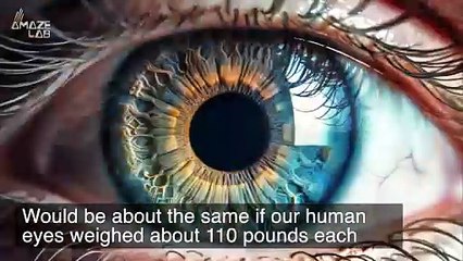 Why Do Deep Sea Creatures Have Such Gigantic Eyes?