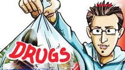 अवघ्या २१ वर्षीय तरुणीने केला " हा" महाप्रताप, पोलीसानी केली अटक