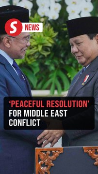 Malaysia and Indonesia urge peaceful resolution to Iran-Israel and Gaza conflicts