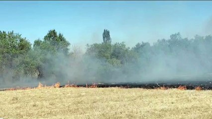 Balıkesir’de Yangın Alarmı! 730 Noktada Alevlerle Mücadele!