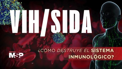 VIH/SIDA: ¿Cómo destruye el sistema inmunológico?