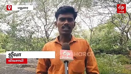 அடுத்த தலைமுறைக்கு இருக்குமா தேவாங்கு? அழிந்து வரும் இனத்தை காக்குமா அரசு?