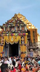PURI ' S RATHA YATRA 2025