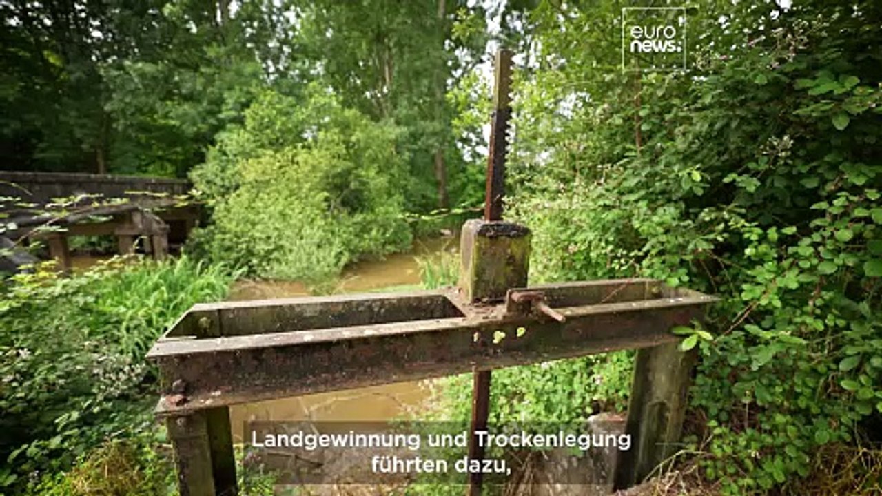 Warum ließ napoleon das marais d'orx trockenlegen?