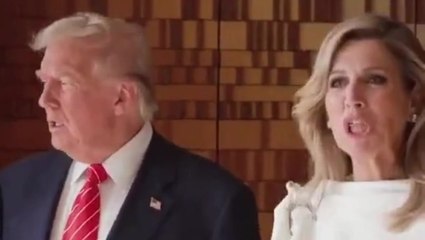 Watch: Dutch queen appears to pull face while meeting Trump