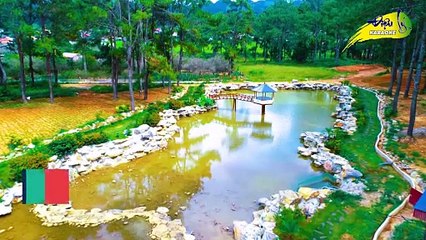 Câu chuyện tình buồn   karaoke   Lý Mỹ Trà   TG Hoài Phong & Lâm Chí Tâm