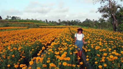 I Get STUCK on the Curved Path Song! Playlist  - Song