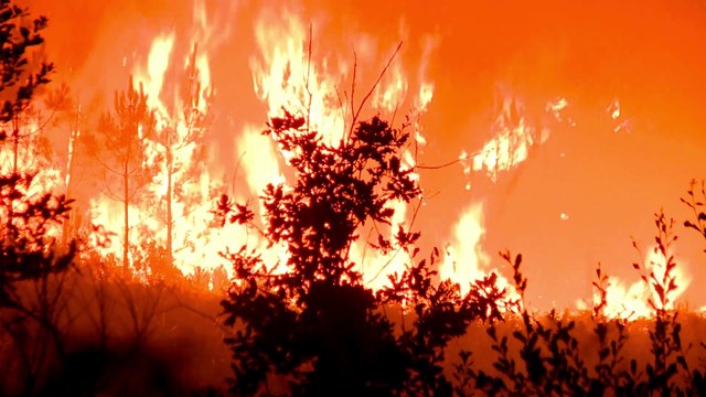 Söylenecek çok şey vardı, eğer o günü se. Söylenecek çok şey vardı, eğer o günü se - Sad Song