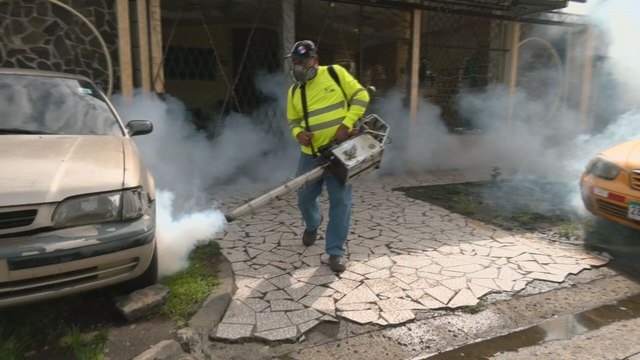 Región metropolitana registra 1,113 casos de dengue