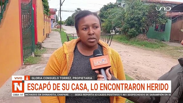 Perrito atacado a machetazos