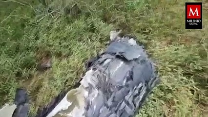 SpaceX ofrece limpiar su basura espacial en Tamaulipas