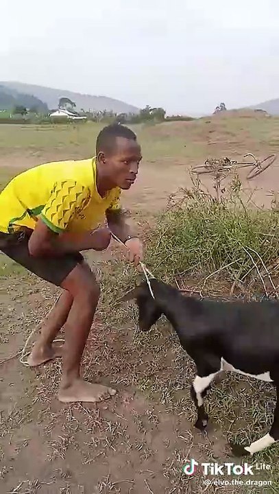 Comedy films and funny videos