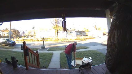 Caught on Camera: Unexpected Moments 📹