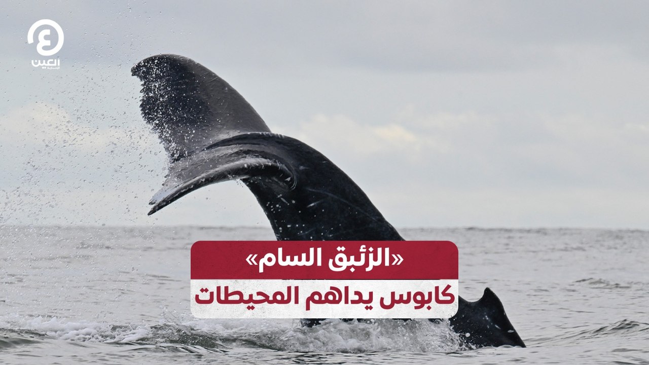 «الزئبق السام».. كابوس يداهم المحيطات