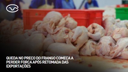 Queda no preço do frango começa a perder força após retomada das exportações
