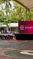 Pescadores de Celestún buscan exportar pescado vivo a Estados Unidos