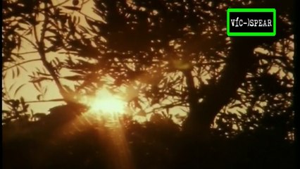 En búsqueda de la guerra de Troya: El Imperio de los hititas (1985) Español Latino *Ep. 5 - Parte 2