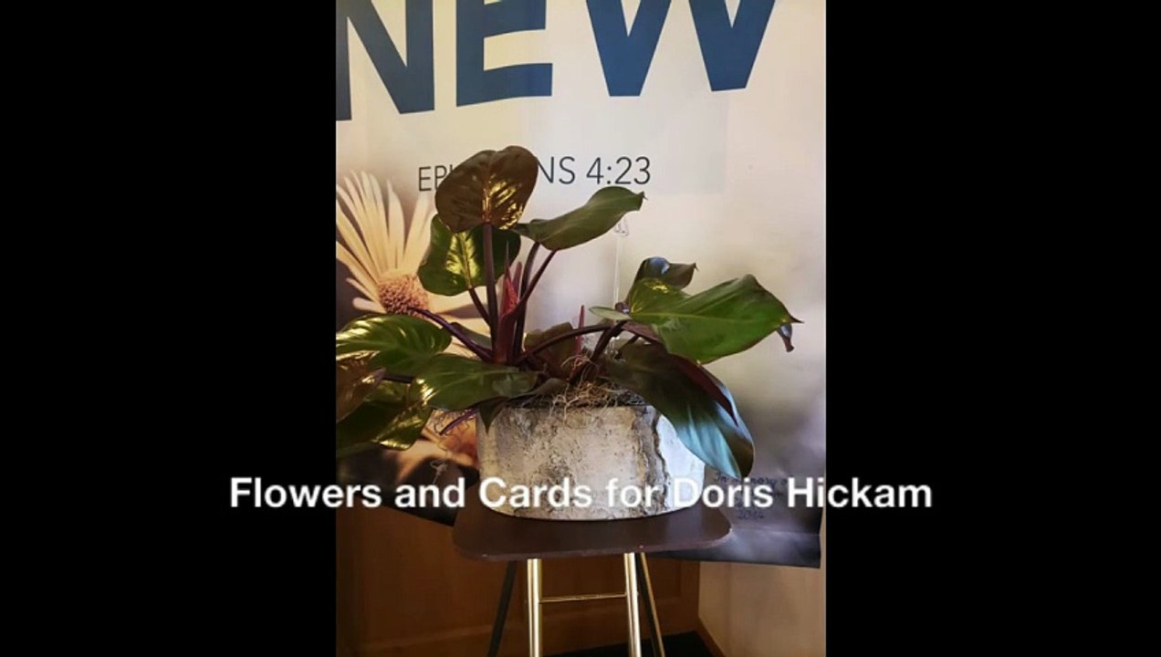 Flowers and Cards for Doris Hickam