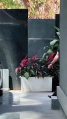 Hollywood Actors 🌟