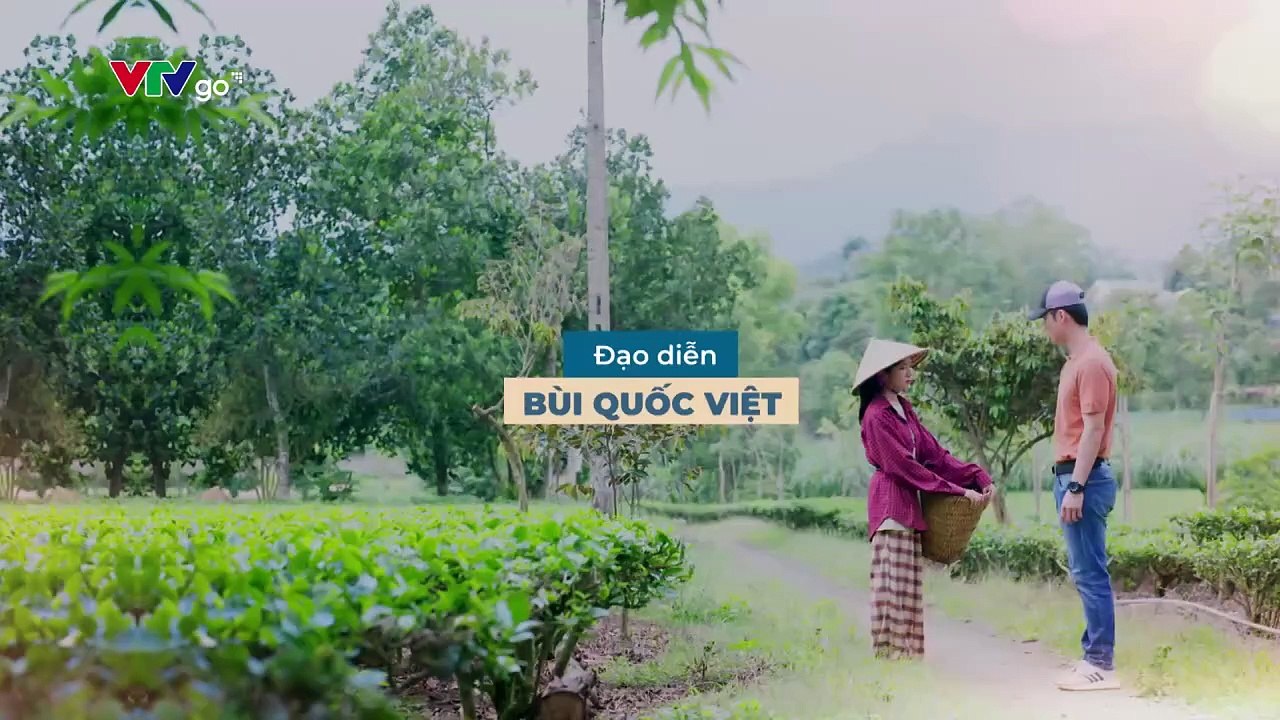 Dịu Dàng Màu Nắng Tập 21 Phim Việt Nam VTV1