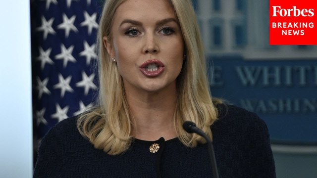 Karoline Leavitt: 'Goal' Of Immigration Enforcement Is To Deport 'Violent Criminals'