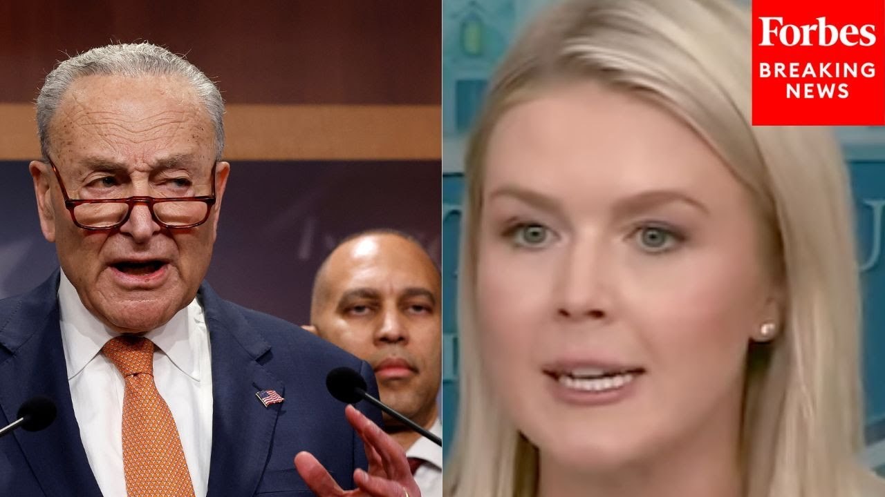 Karoline Leavitt: Democrats Are 'More Concerned' With Illegal Migrants Than 'Hardworking Americans'