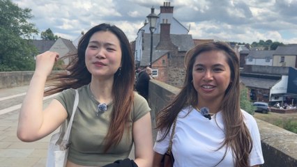 Stings and Summer Bugs in the North East