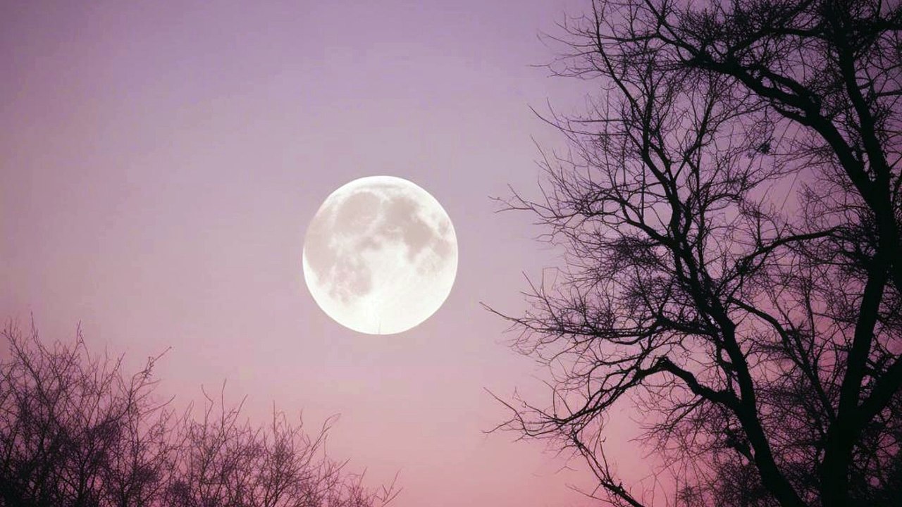 Calamondin Feat.bravo_Always, In Every Moment