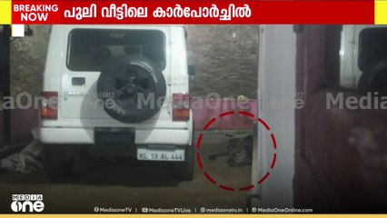 വയനാട് നമ്പ്യാർകുന്നിൽ അവശനിലയിൽ കണ്ടെത്തിയ പുലി വീട്ടിലെ കാർപോർച്ചിൽ