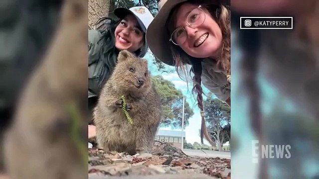 Katy Perry Reveals Her “Mood” Amid Orlando Bloom Breakup