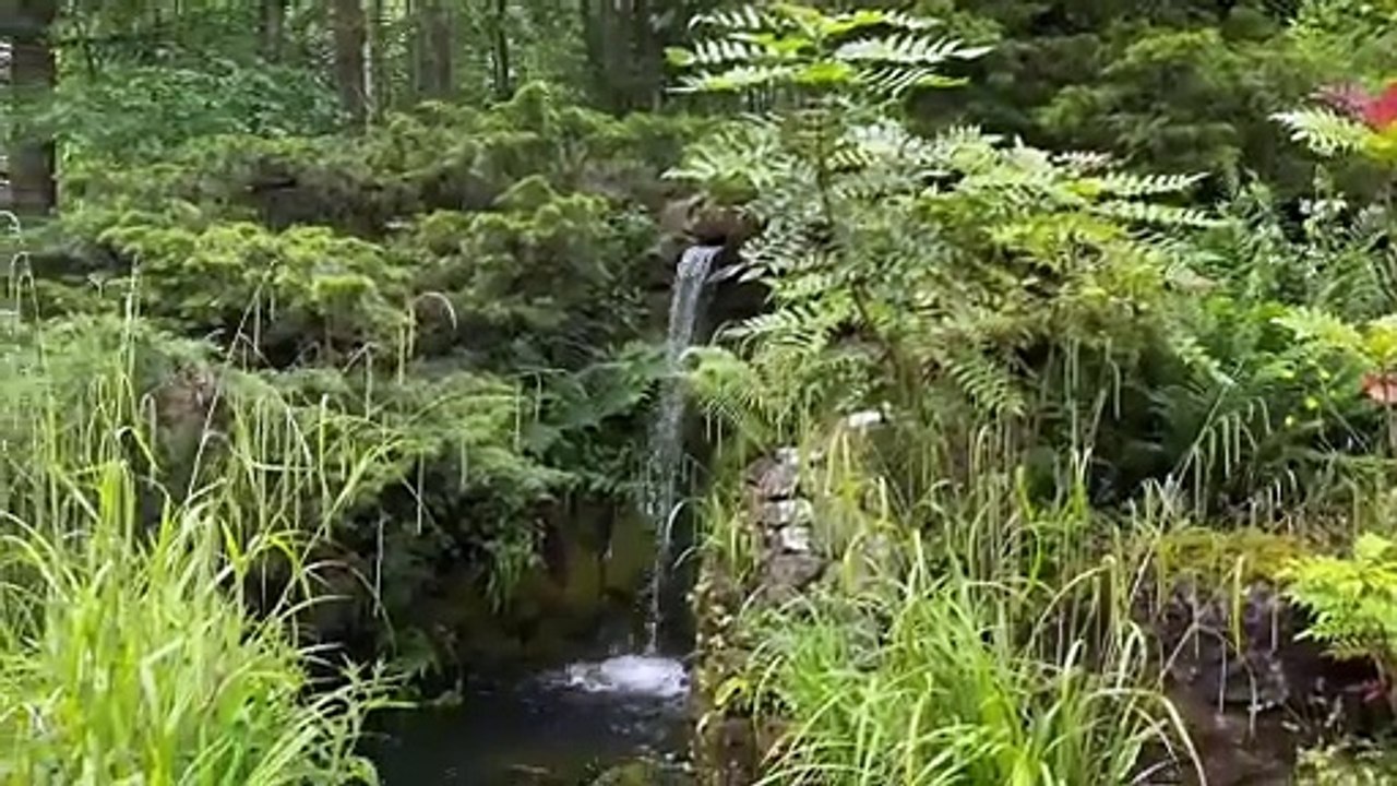 Heights of Abraham: ‘We bought the most unusual business, a place with woods, caves, and a house - and transformed it into an underground overground tourist attraction’