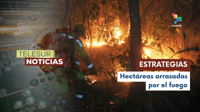En Bolivia, investigaciones arrojan que incendios forestales fueron provocados