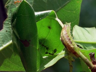 Trials of Life: 06/12 - Navigating Living Together 🤝