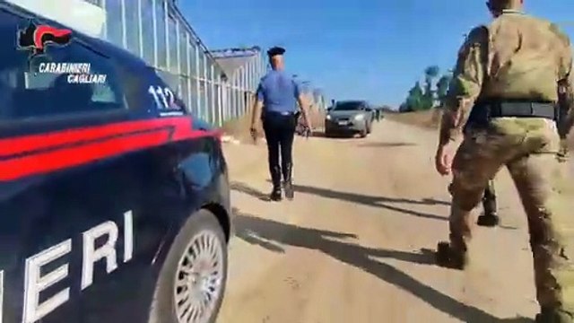 Maxi piantagione di marijuana in serre comunali abbandonate: 51enne arrestato a Sestu