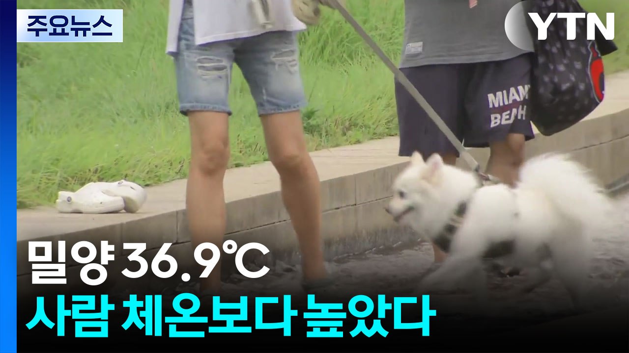 [날씨] 밀양 36.9℃, 사람 체온보다 높았다...장맛비에 찜통더위 / YTN