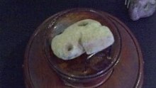 玉鸚鵡  肖生器 F 紅山珍寶 玉而富