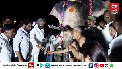 ಡಿ.ಬಿ.ಕುಪ್ಪೆಯಲ್ಲಿ ದಸರಾ ಗಜಪಡೆ ಮಾಜಿ ಕ್ಯಾಪ್ಟನ್​ ಅರ್ಜುನನ ಸ್ಮಾರಕ ಲೋಕಾರ್ಪಣೆ