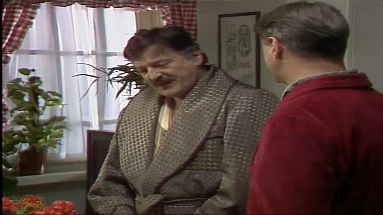 Bolji život (1987-1991) – Epizoda 54 – Domaća serija