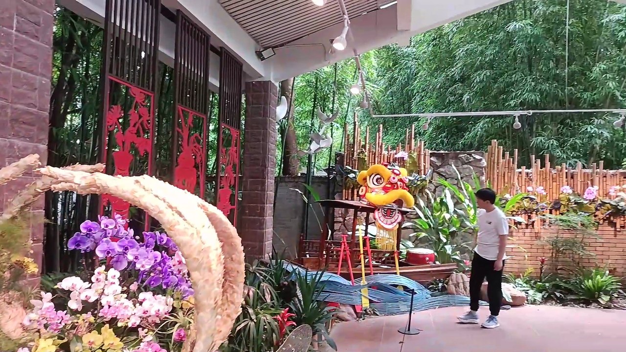 INSANE Orchid Heaven in China! 😱 Guangzhou’s SECRET Garden You MUST See! Part 02 | Daily Unfold