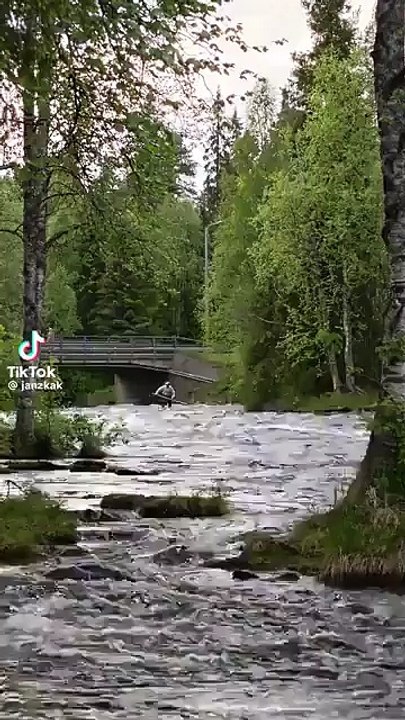 Log Surfing 🏄‍♂️.... but How ?
