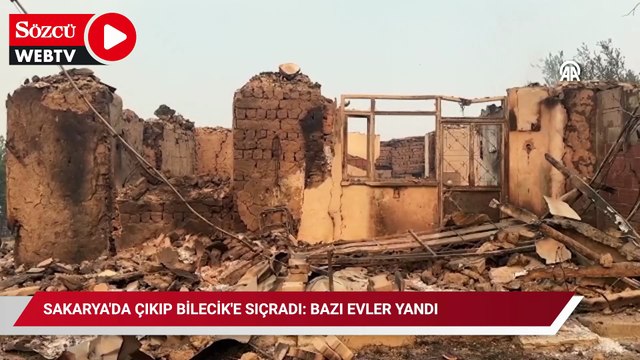 Sakarya'da çıkıp Bilecik'e sıçradı: Bazı evler yandı