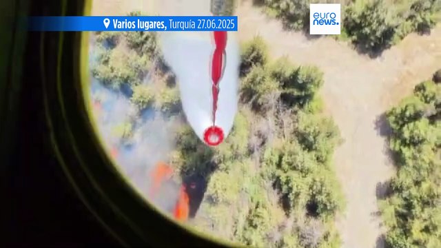 Olas de calor e incendios forestales abrasan Europa: las temperaturas superan los 40°C en varios países