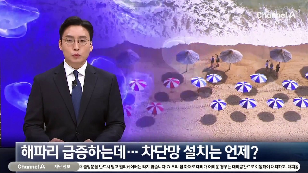 해파리 급증하는데…해운대 차단망 설치는 언제?