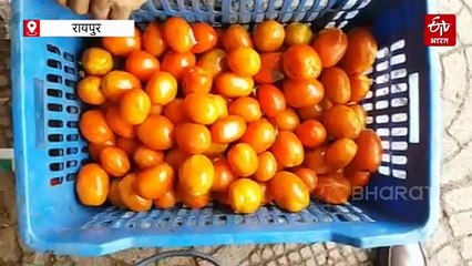 बारिश ने बढ़ाए सब्जियों के दाम, आम आदमी की थाली हुई सूनी, सेम बनी मार्केट टॉपर