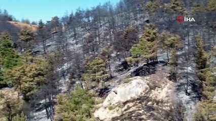 Sakarya'dan korkunç 24 saat! Havadan ve karadan müdahale ediliyor