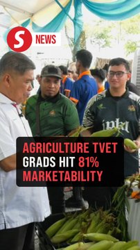 Agriculture TVET graduates' marketability rate at 81.23%, says Mat Sabu