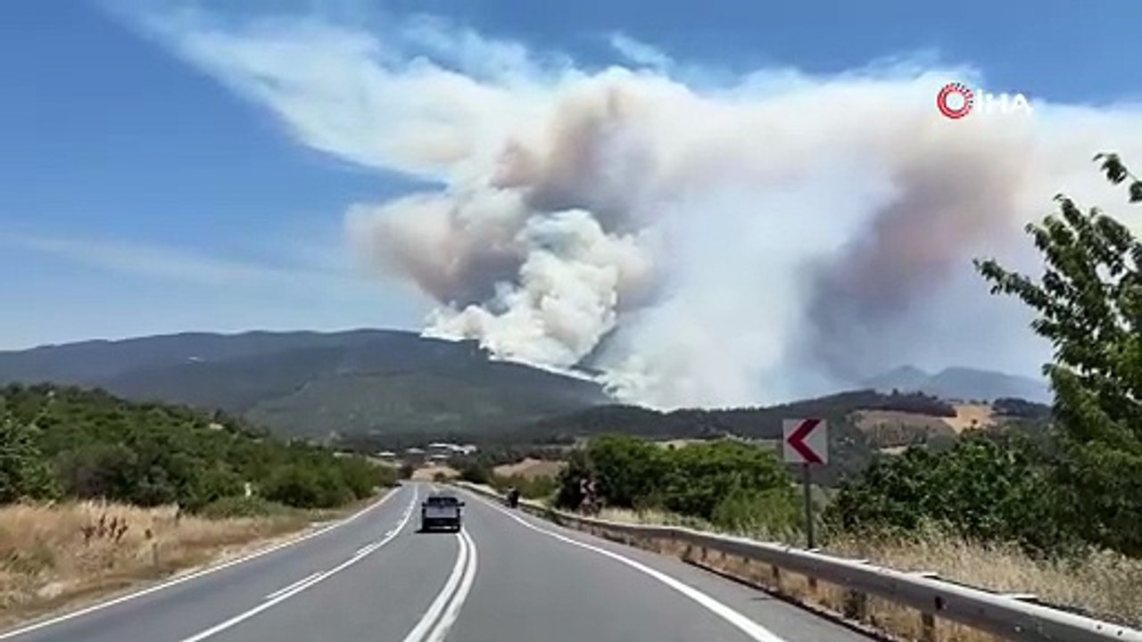 Sakarya’daki orman yangınına müdahale sürüyor